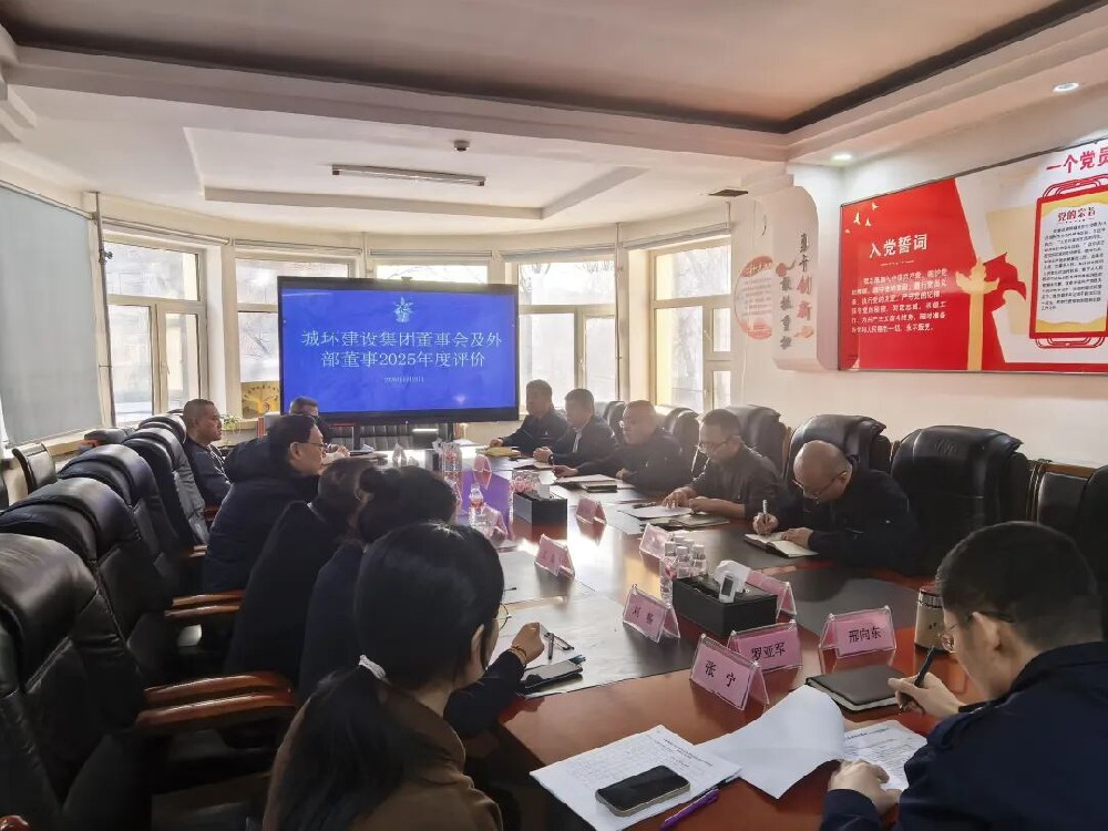 英国上市公司365组织开展重要子企业董事会及外部董事2025年度考核